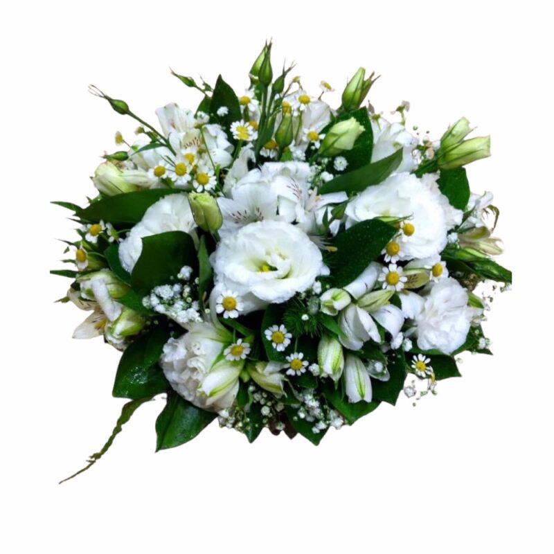 ανθοπωλείο Αθήνα
ανθοπωλεία Αθήνα
λουλούδια Αθήνα